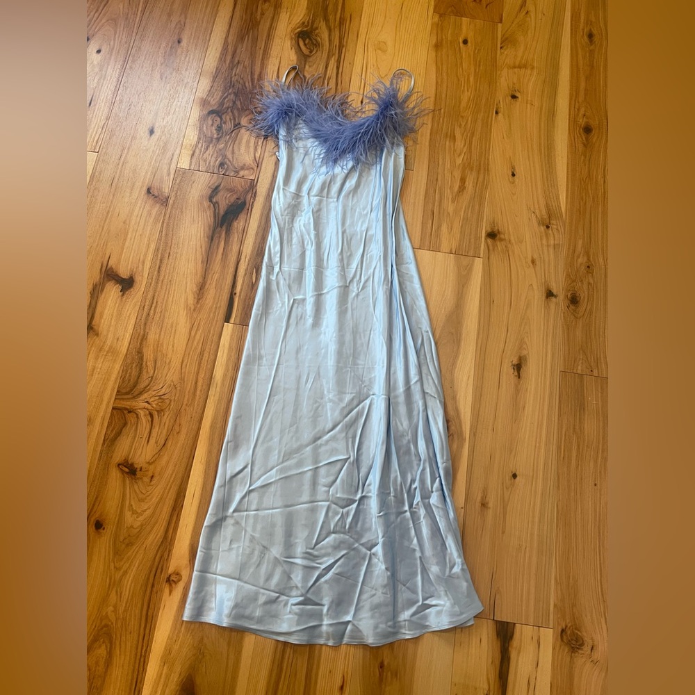 Sleeper Elegant blue Gown with Feather Trim medium